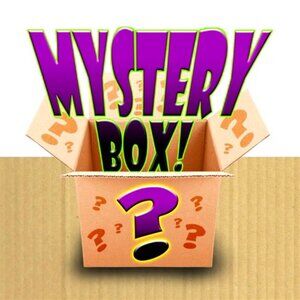 Graphic T-Shirt Reseller Mystery Box (Approximately 11 Shirts) Random Sizes